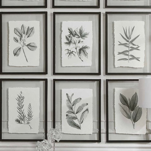 Elegant Framed Botanical Prints