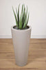 Off White Poly Resin - Planter 15 x 15 x 28 potted with Artificial Aloe 12 x 12 x 21-furniture stores regina-Hunters Furniture