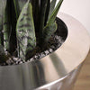 CONE STAINLESS STEEL HAMMERED VASE 14 x 14 x 36 potted with ARTIFICIAL GREEN SANSEVERIA 15 x 15 x 43-furniture stores regina-Hunters Furniture