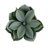 AH 1031 Potted Cactus